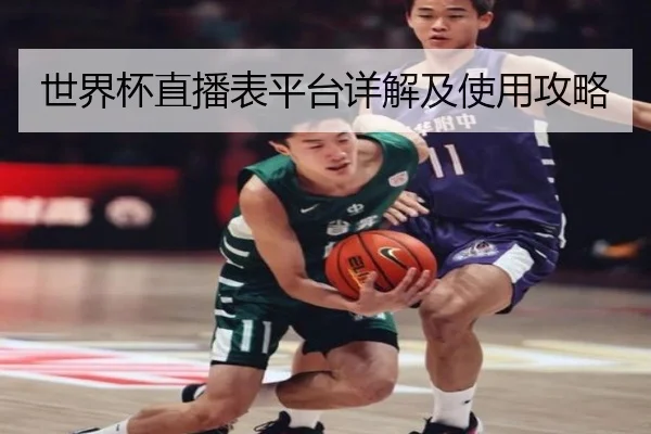 世界杯直播表平台详解及使用攻略